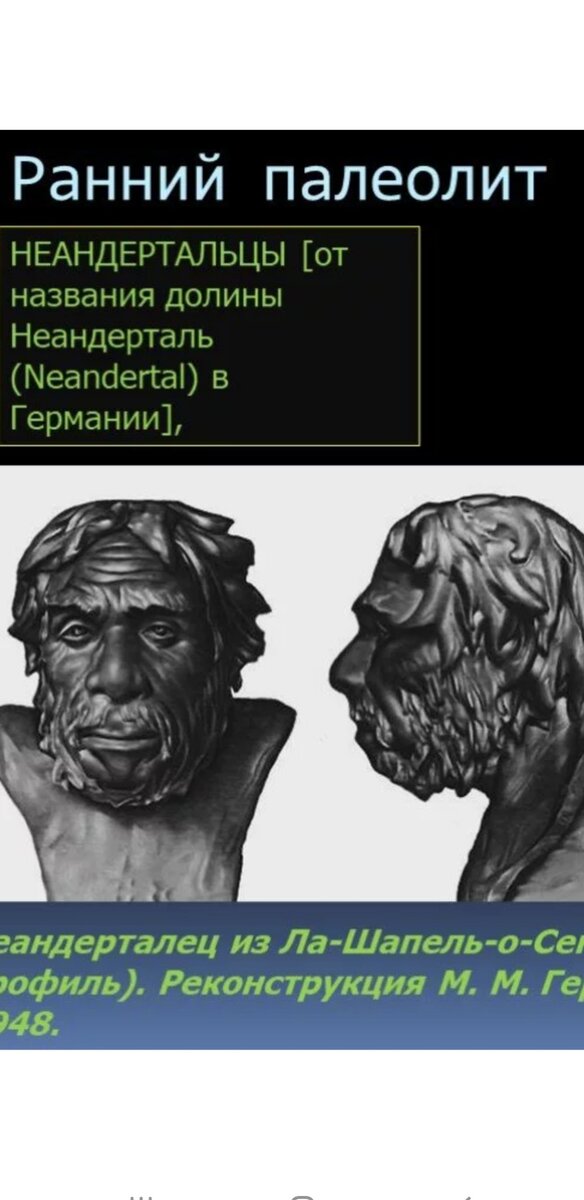 Изображение из свободного доступа в интернете