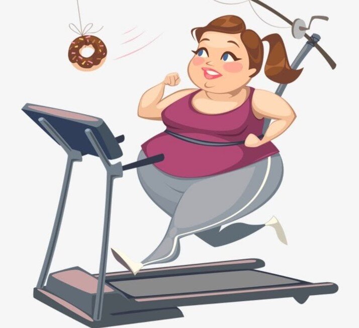 Иллюстративный материал заимствован из общедоступных ресурсов интернета, не содержащих указаний на авторов этих материалов и каких-либо ограничений для их заимствования.