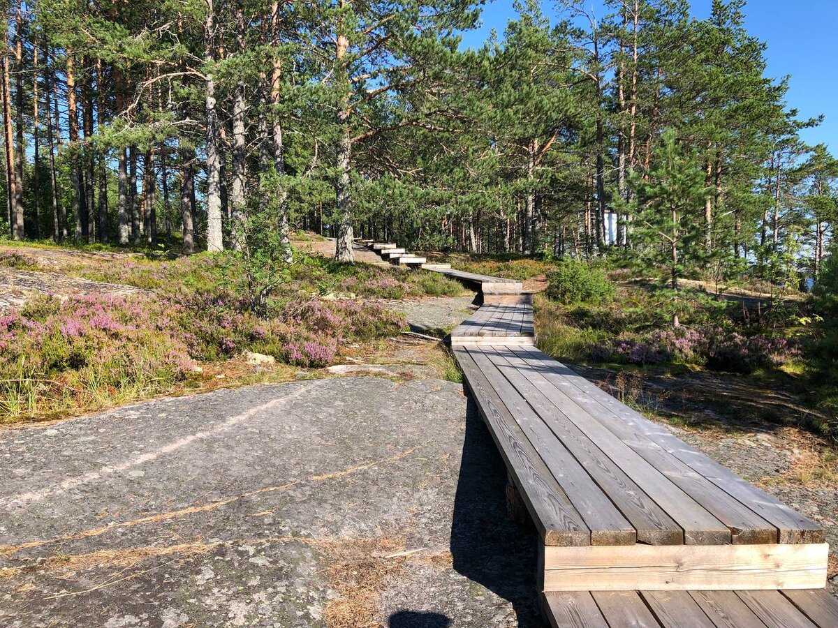 Деревянный настил вдоль озера