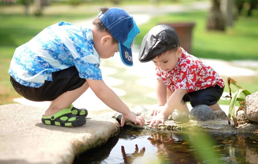 Фото: Pixabay.com