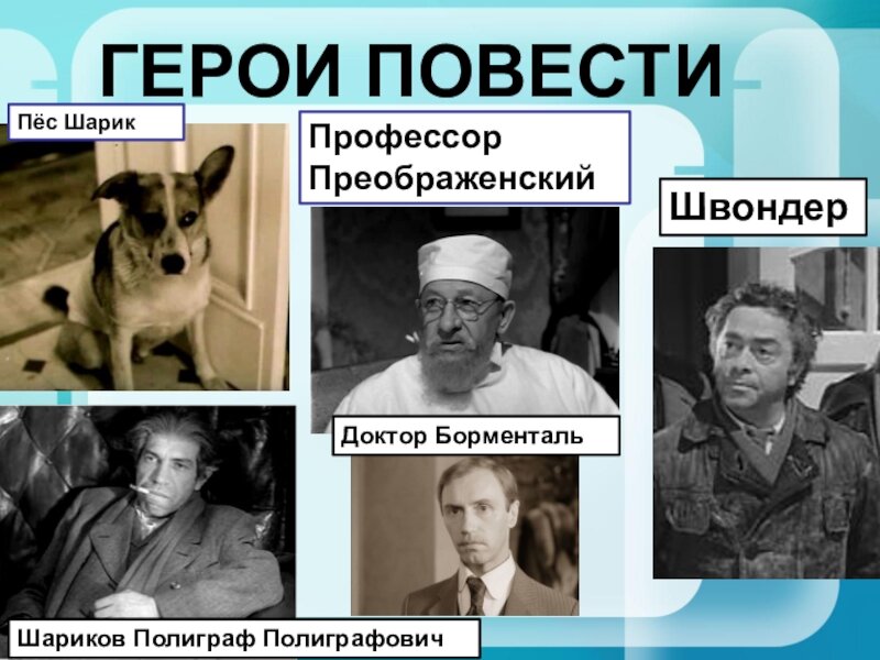Интересно, так почему Шариков так и не стал человеком...