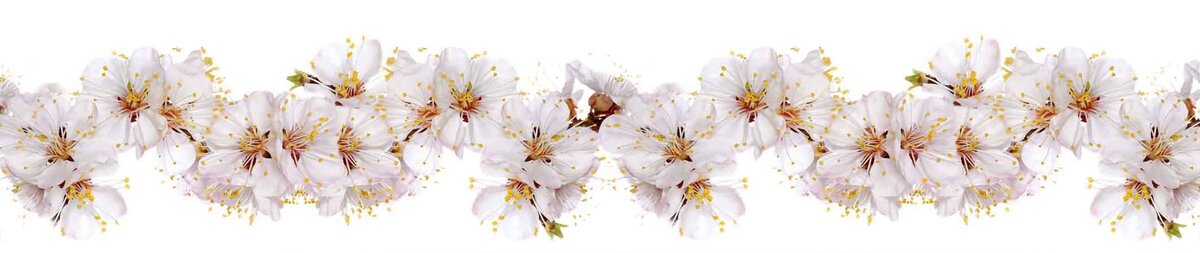 Яндекс картинки