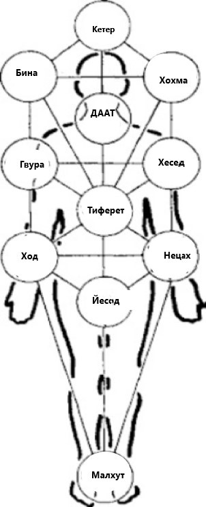 Адам Кадмон