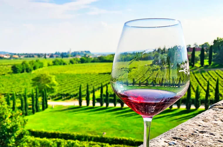 Вино считается одним из самых благородных напитков во всём мире. Виноделие берёт своё начало с незапамятных времён.