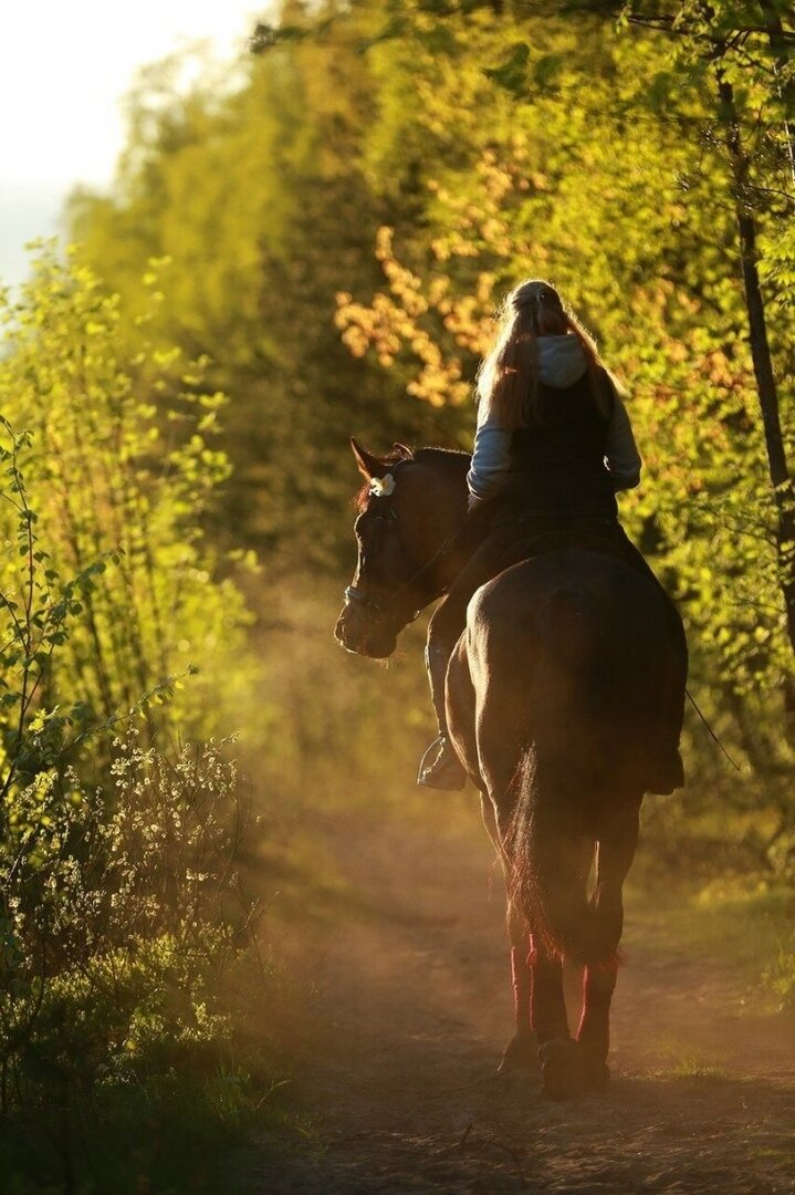 фото из интернета