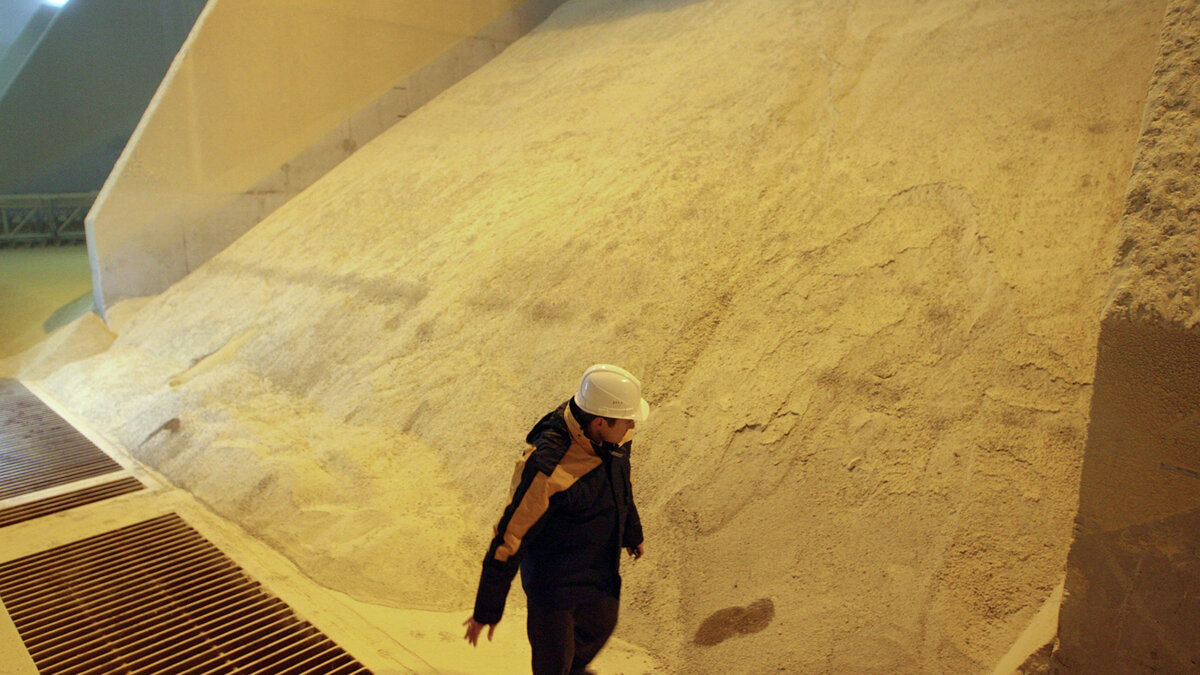    Предприятие по переработке сои и рапса© РИА Новости . Игорь Зарембо