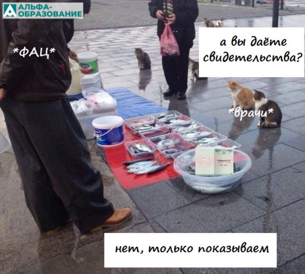 Как получить свидетельство об аккредитации.