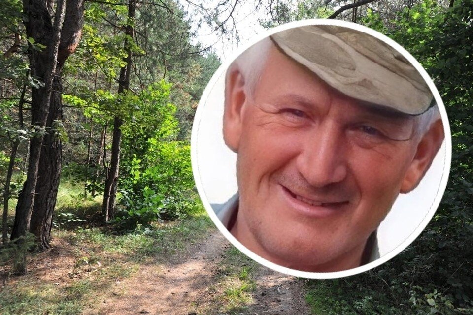     Под Новосибирском третьи сутки ищут заблудившегося в лесу пенсионера. Фото: ПСО "ЛизаАлерт НСО"