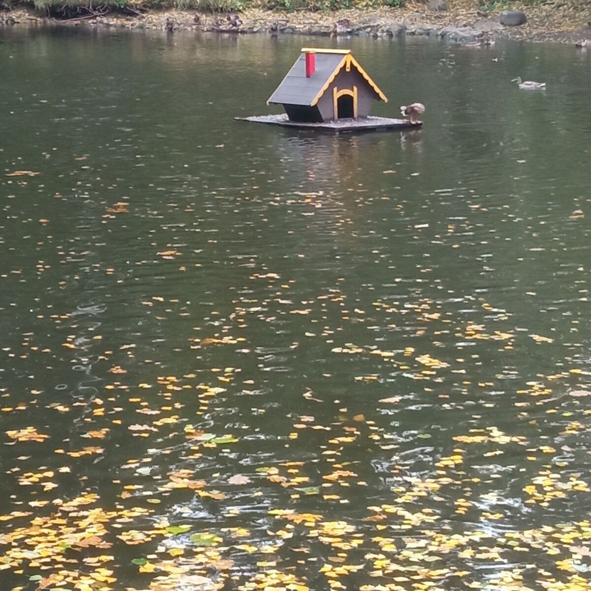 Ляхвинский пруд