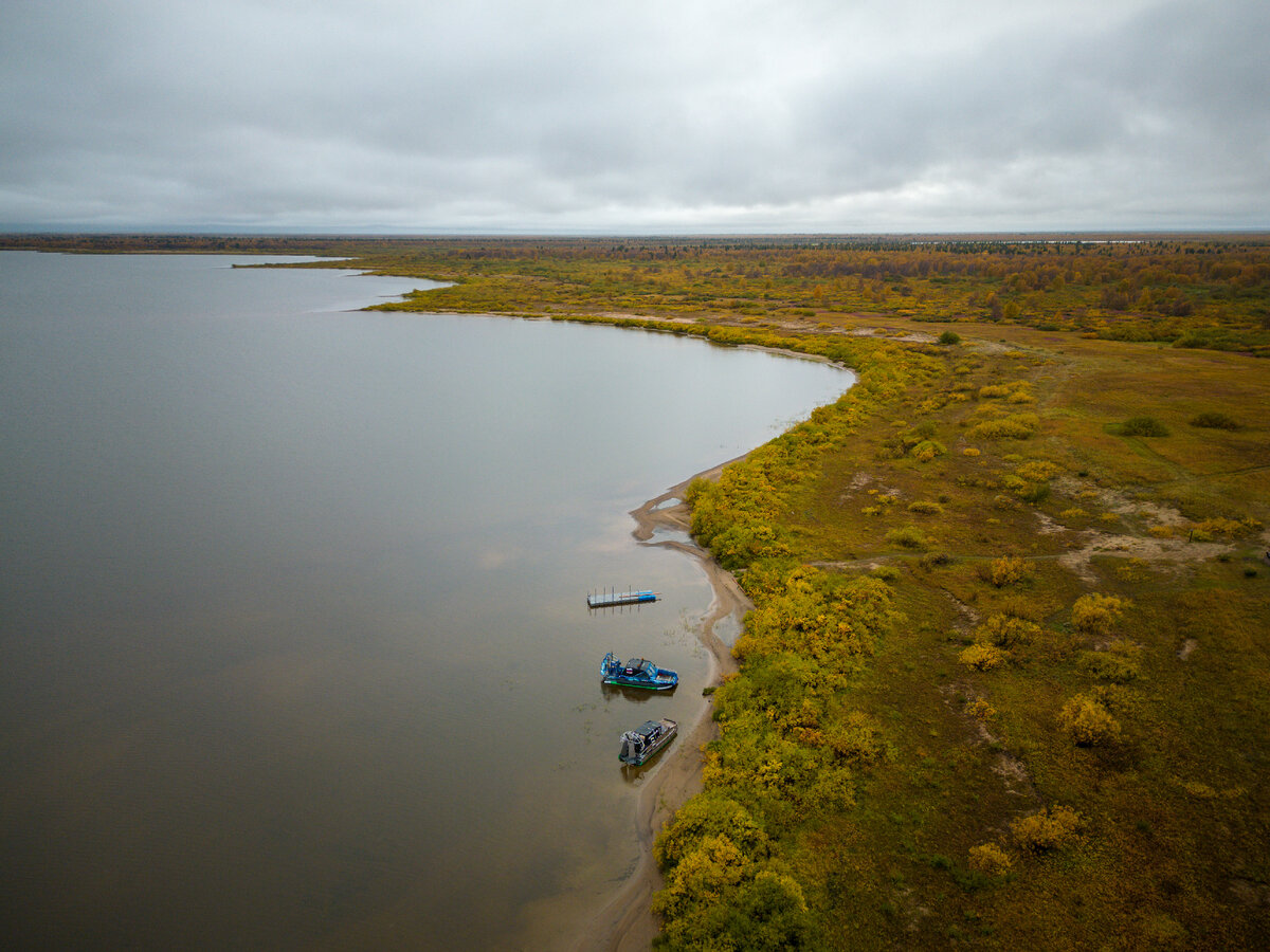 Пустозерский берег