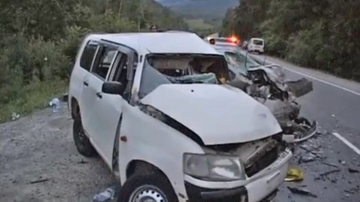     Водитель Toyota Hilux выехал на полосу встречного движения на 71 километре автодороги «Раздольное-Хасан». Из-за этого он столкнулся с автобусом Toyota Coaster, несколько человек получили травмы различной степени тяжести, не обошлось и без летального исхода.