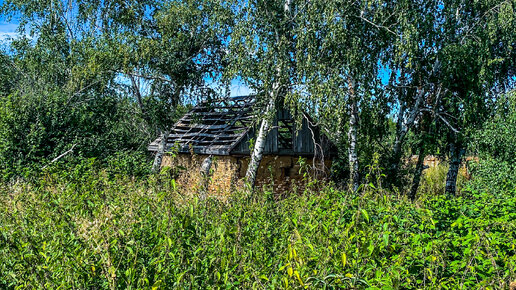 Сарай в деревне фото