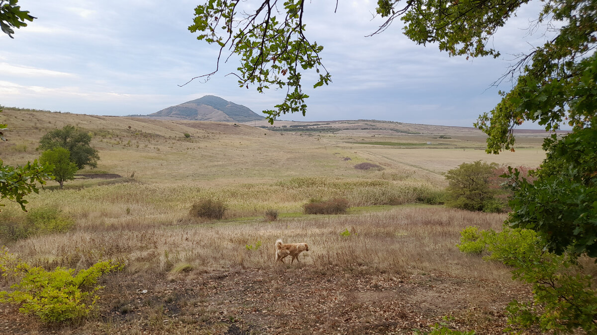 Воронов, любимая полянка Эвелины. Гора - Бык, собака - Дружок