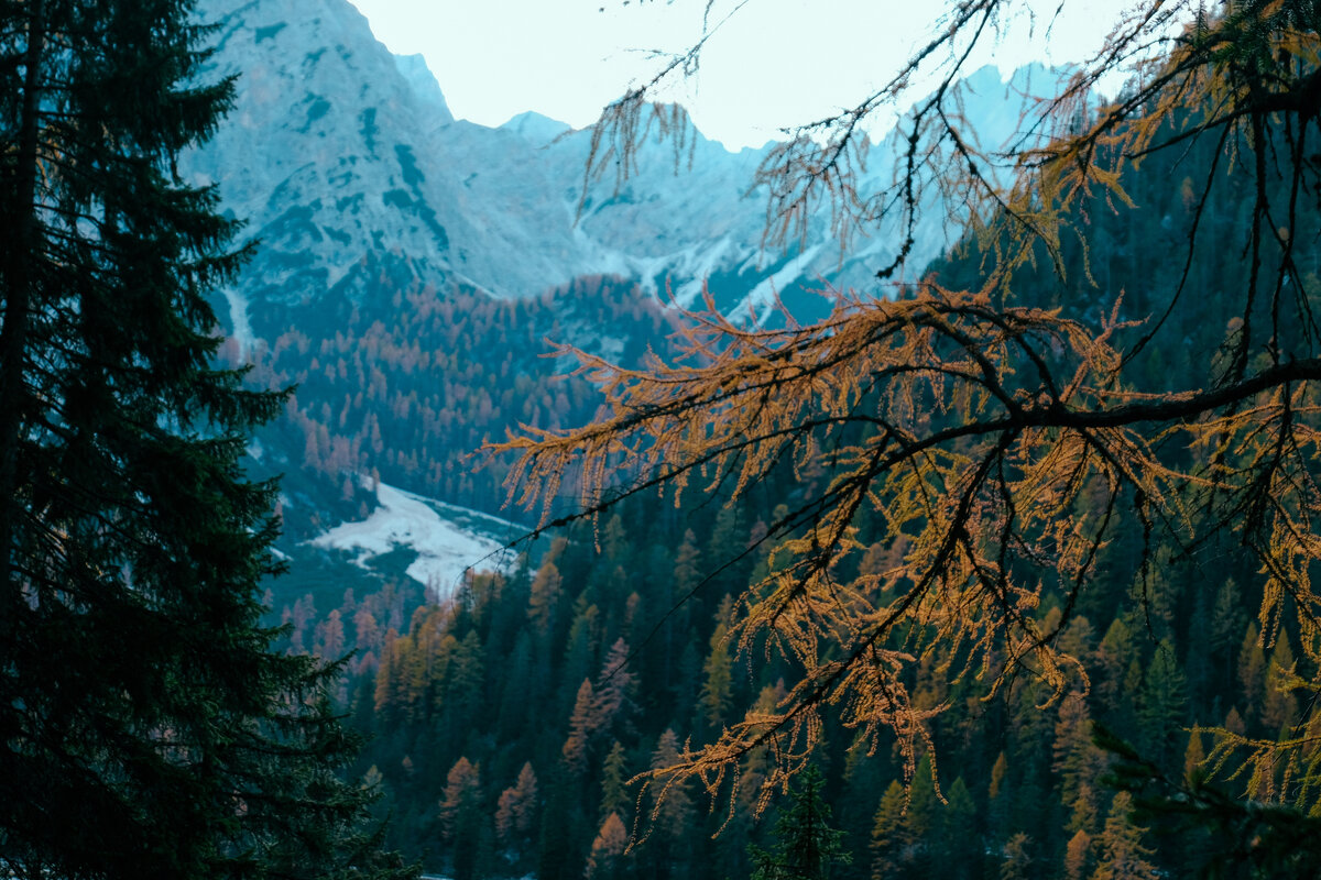 Источник фото: ru.freepik.com