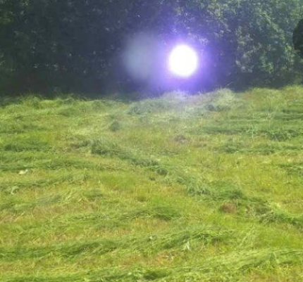 Последний снимок Д-р "удалено".