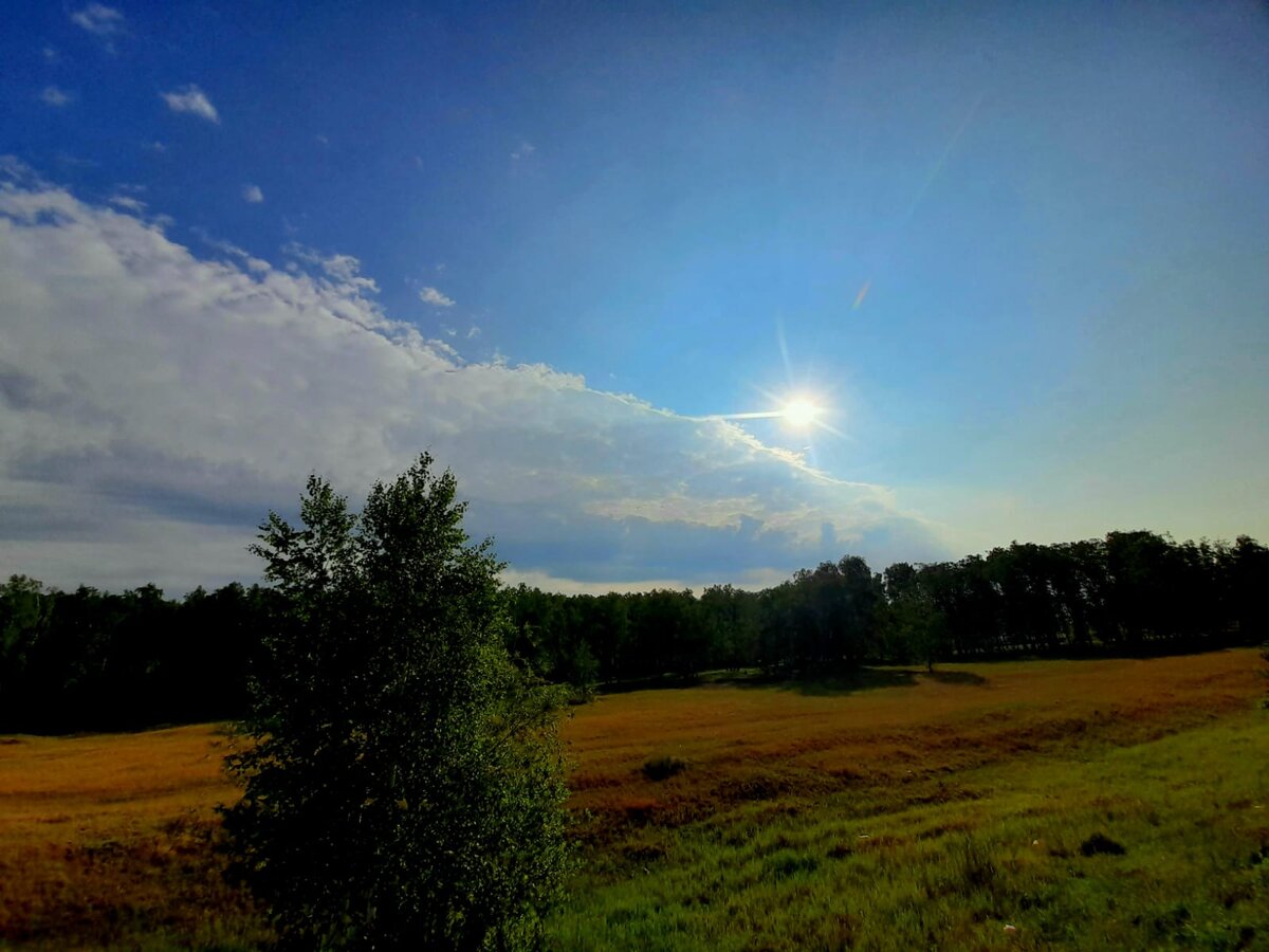 Фото автора.