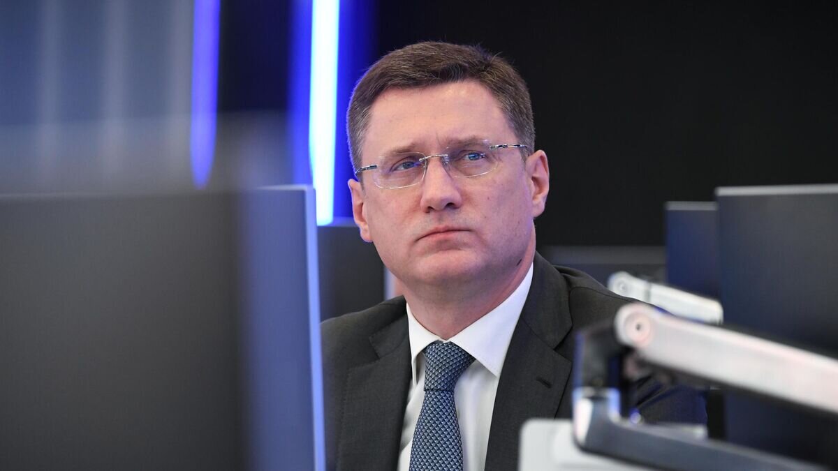    Заместитель председателя правительства РФ Александр Новак на заседании Федерального штаба по газификации регионов© РИА Новости / Сергей Пятаков