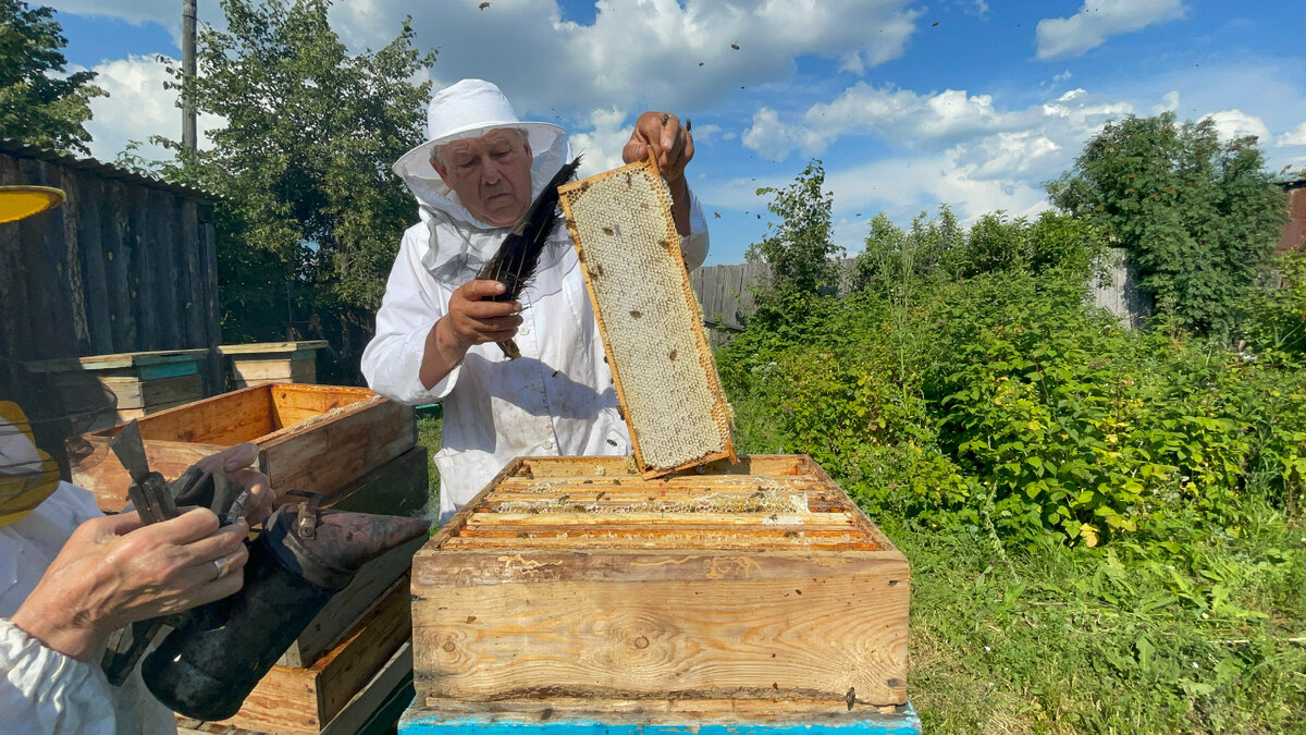 Передвижная пасека своими руками