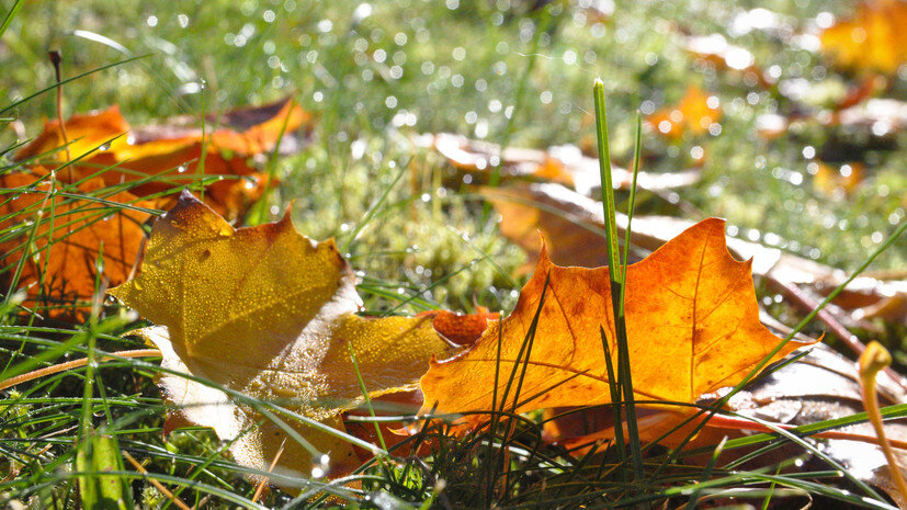   Gettyimages.ru Ingunn B. Haslekaas