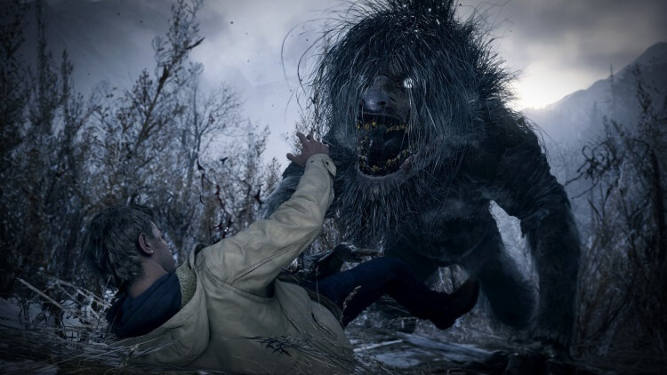  📷    Источник изображений: Capcom