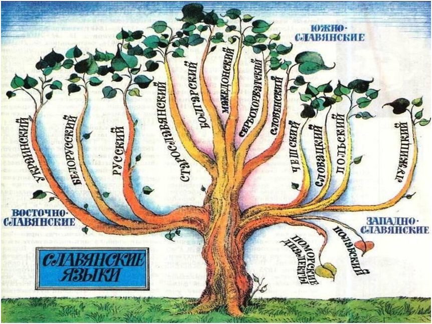 Южнославянские языки презентация