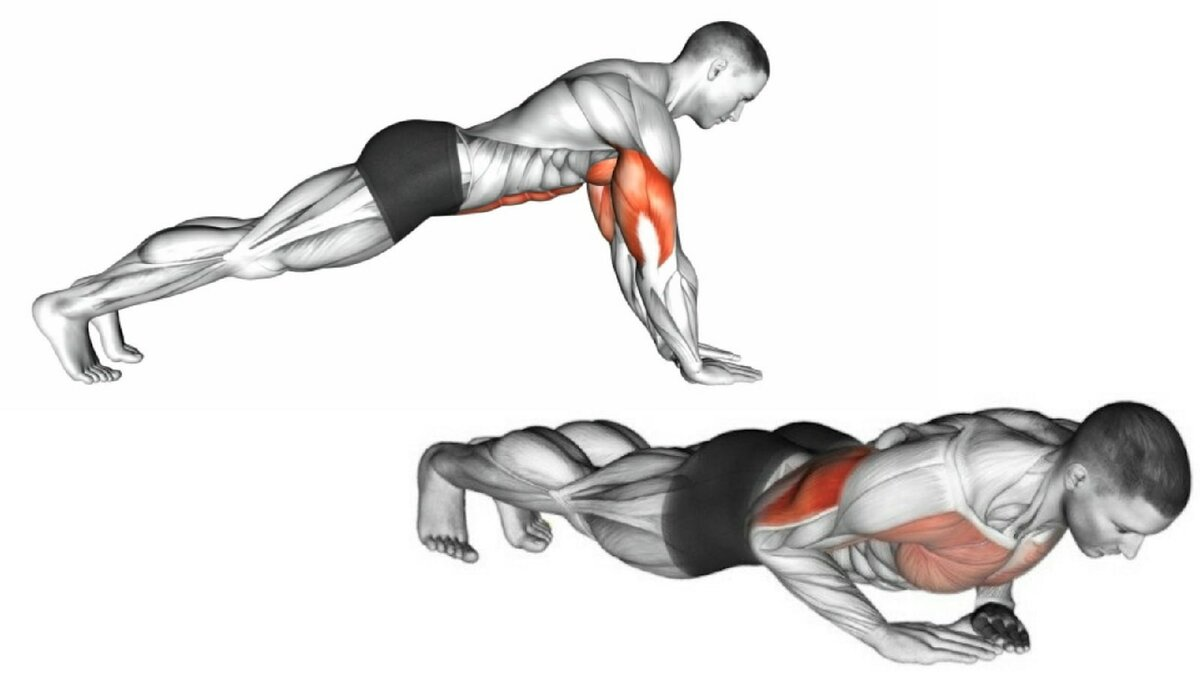 Можно ли накачаться отжиманиями от пола: техника, рекомендации