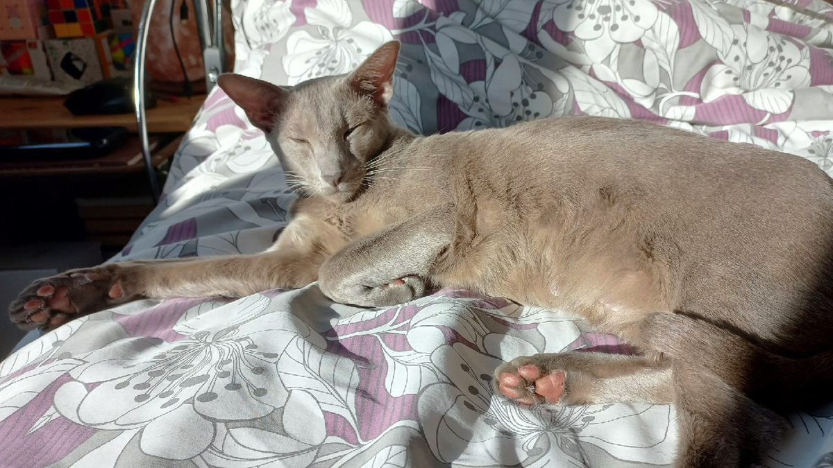 Неземная красота в лучах заходящего солнца