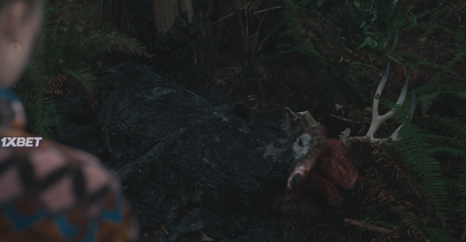 Кадр из фильма