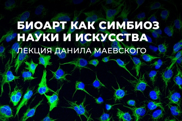    Фото: Пресс-центр культурно-выставочного комплекса «Синара Центр»