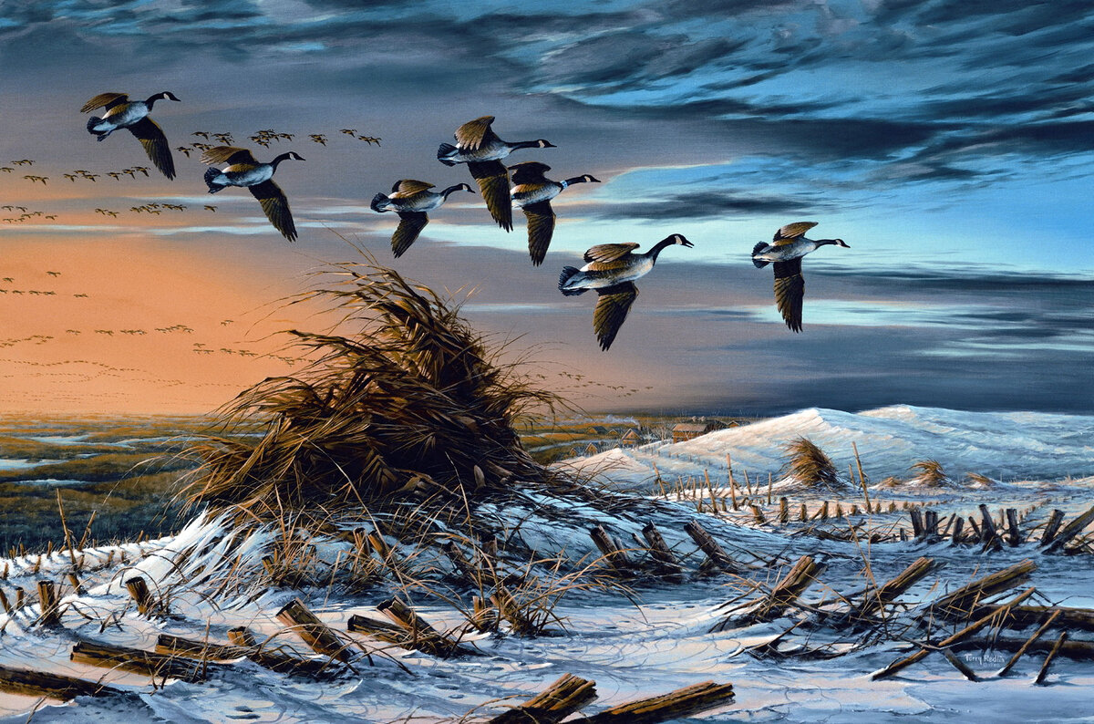     (Terry Avon Redlin). High Country /  