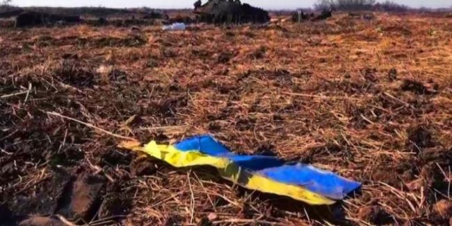 Фото взято из открытых источников