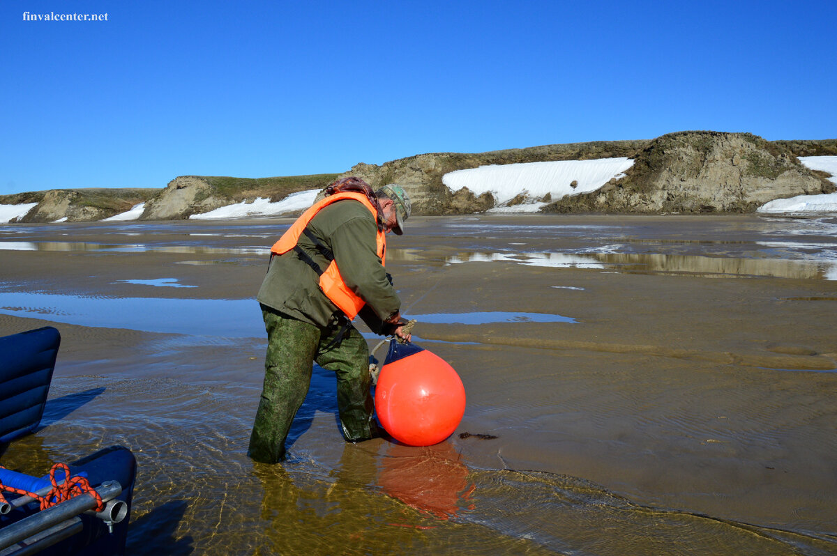 Это не Курилы, это Арктика, Карское море. Виниловые кухтыли (поплавки) на берегу лежат в целом состоянии. Потому что нет бурых медведей - любителей бабахнуть их когтями.