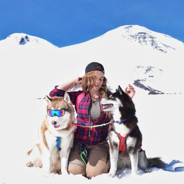 С хаски на Эльбрусе