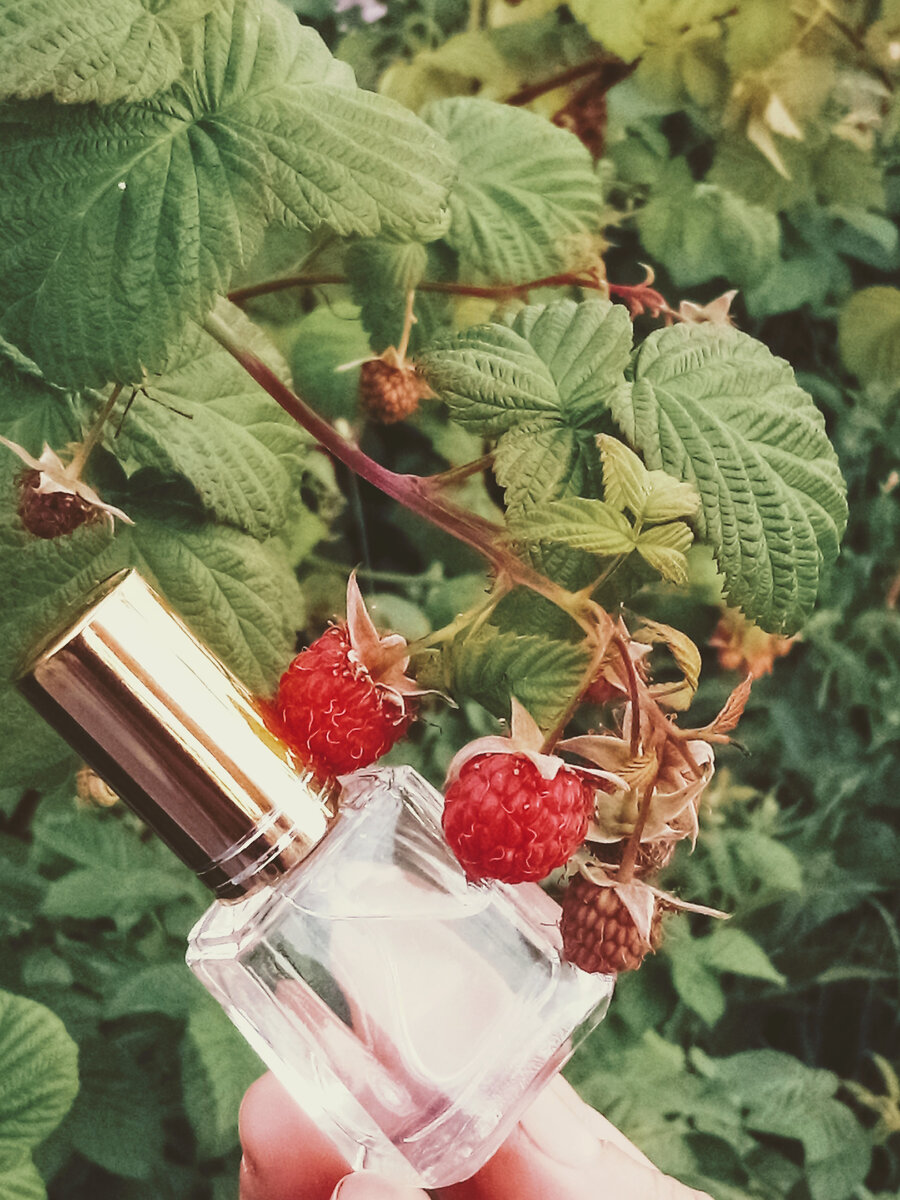 фото из личного архива