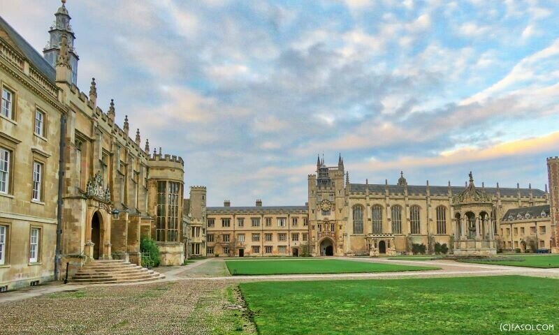 
Тринити-колледж. Источник фото: предоставлено автором