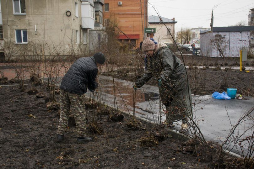     фото: телеграм-канал Елены Ситниковой