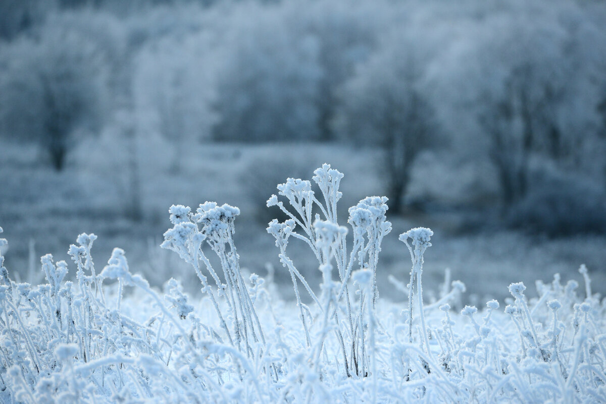 "Станция Мир"
