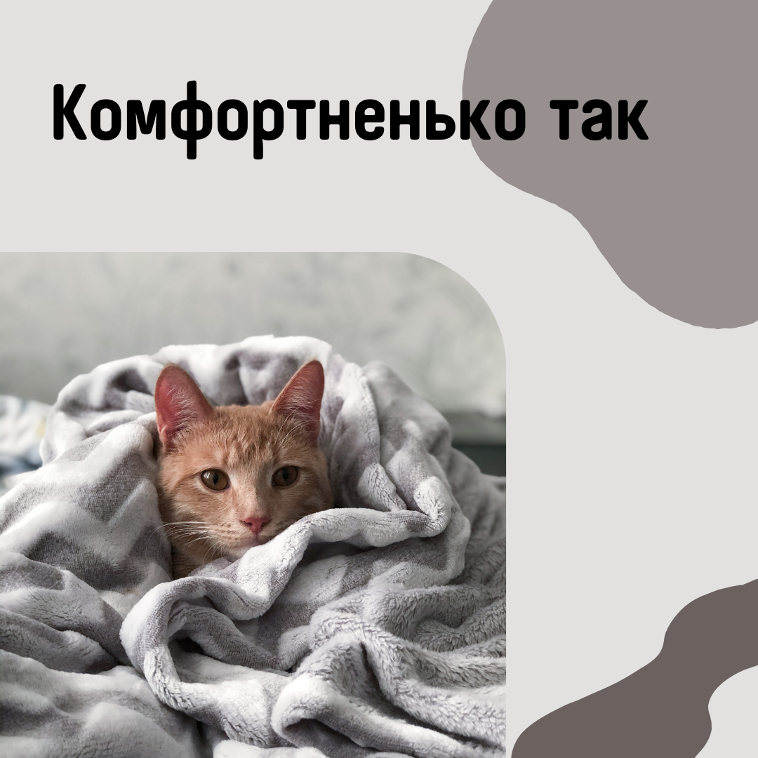 Комфорт Ненько, и теплоооо
