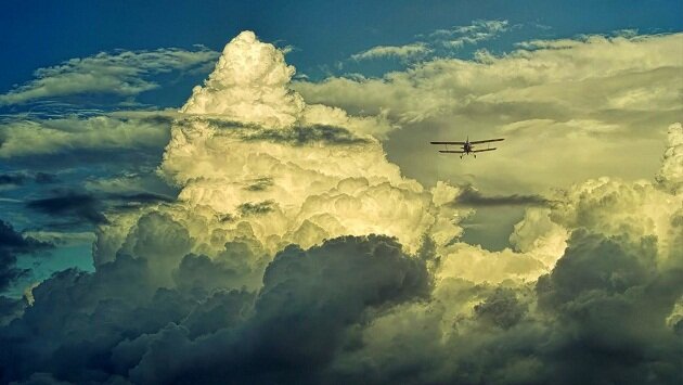 Фото из Интернета.