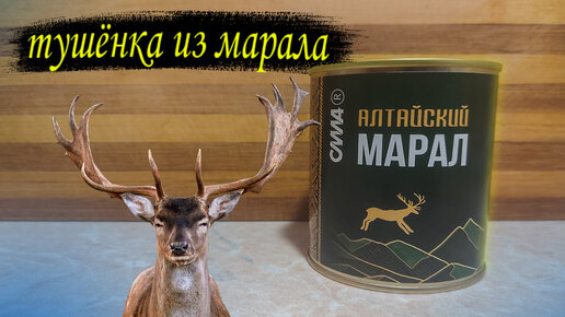 Тушёнка из алтайского марала. Сила. Быстрый обзор