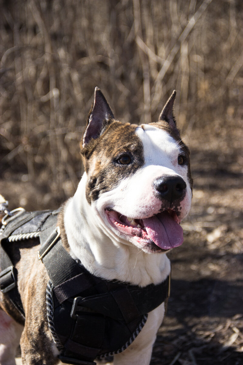 Моя история продолжается...