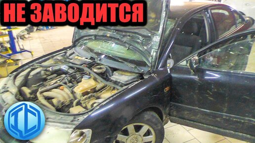 Как завести двигатель в сильный мороз Причины не запуска двгателя на VW Passat