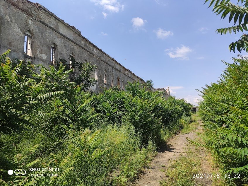 Фото автора (листайте галерею)