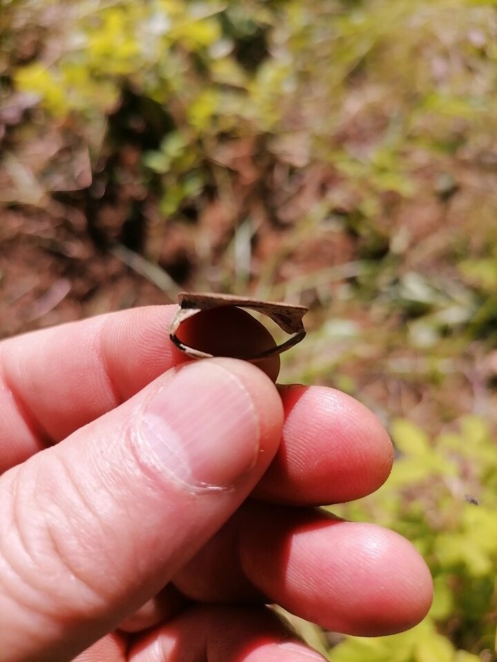 ФОТО: VK.COM НАУЧНЫЙ ЦЕНТР ИЗУЧЕНИЯ АРКТИКИ, Г. САЛЕХАРД