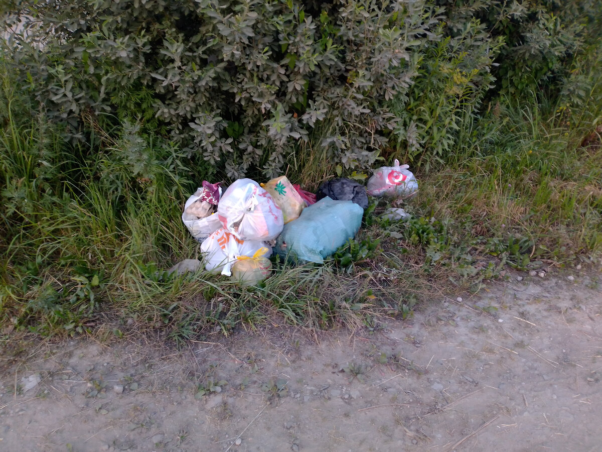 Кто-то уже начал выбрасывать мусор вдоль нашей дороги. (фото автора)