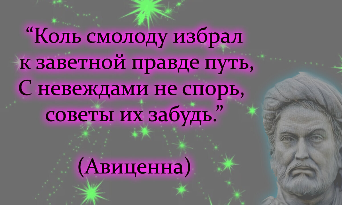 цитаты из открытых источников