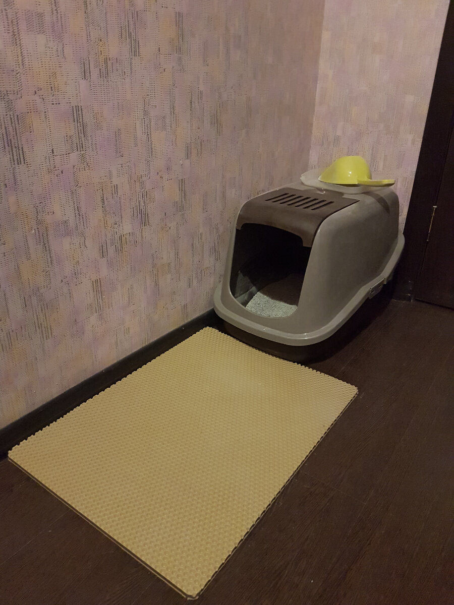 Вот такой чудо-лоток