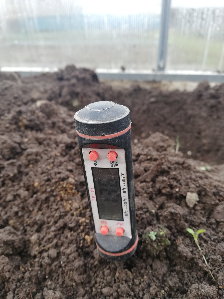 Температура в теплице, на глубине штыка лопаты.