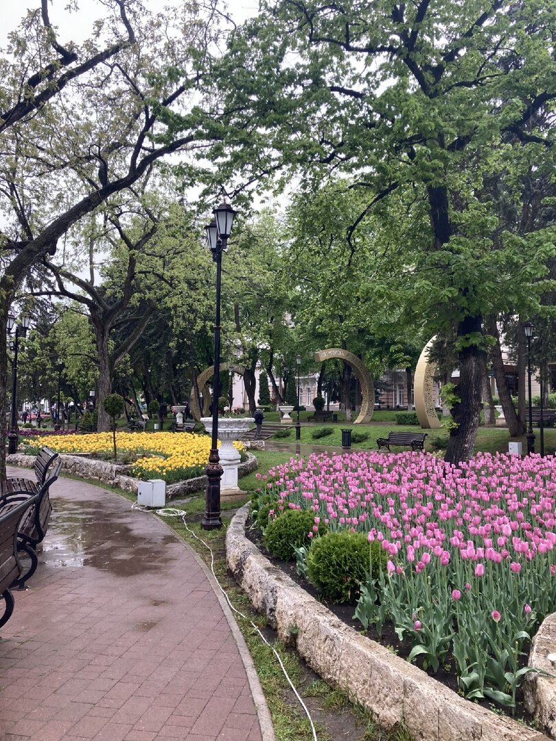 Цветник с морем тюльпанов