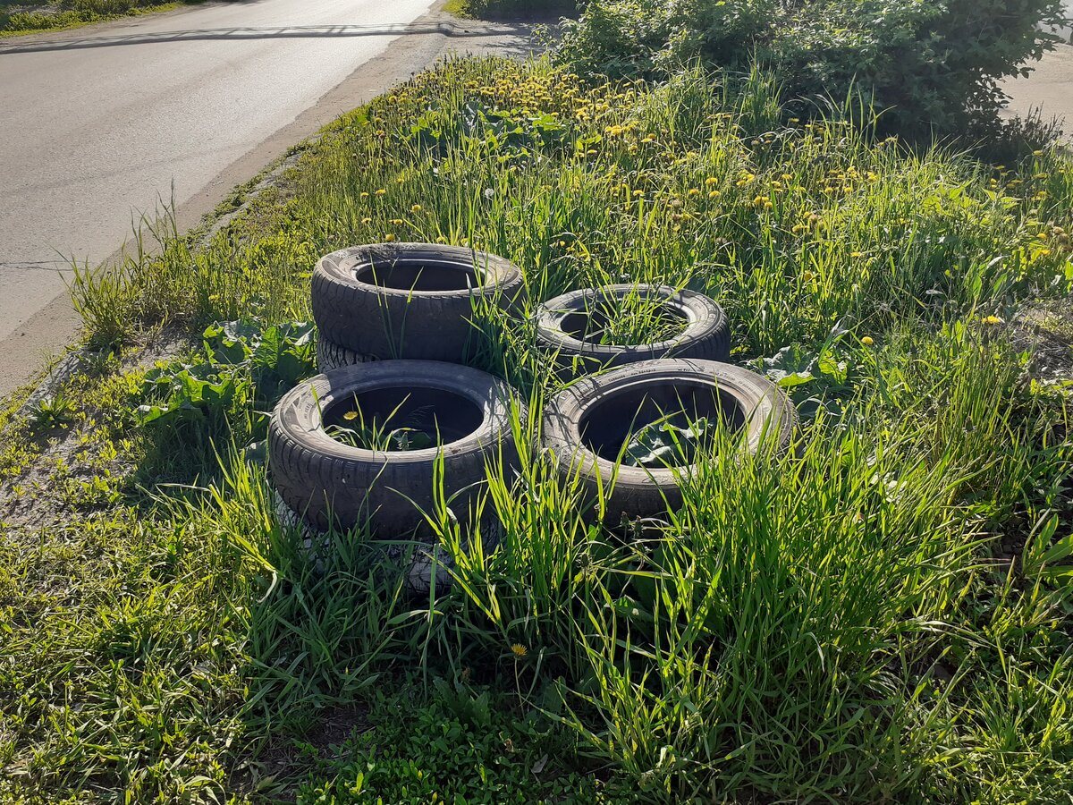 Шины у проезжей части свалены в кучу. Фото автора